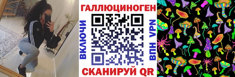 Купить  Дыгулыбгей  Галлюциногенные грибы мицелий 